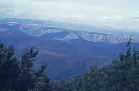Un relief accidenté : plateaux et vallées se succèdent