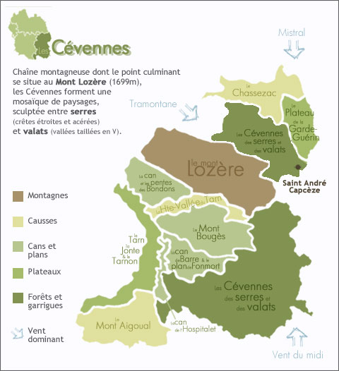 Schéma relief Cévennes Schéma relief Cévennes